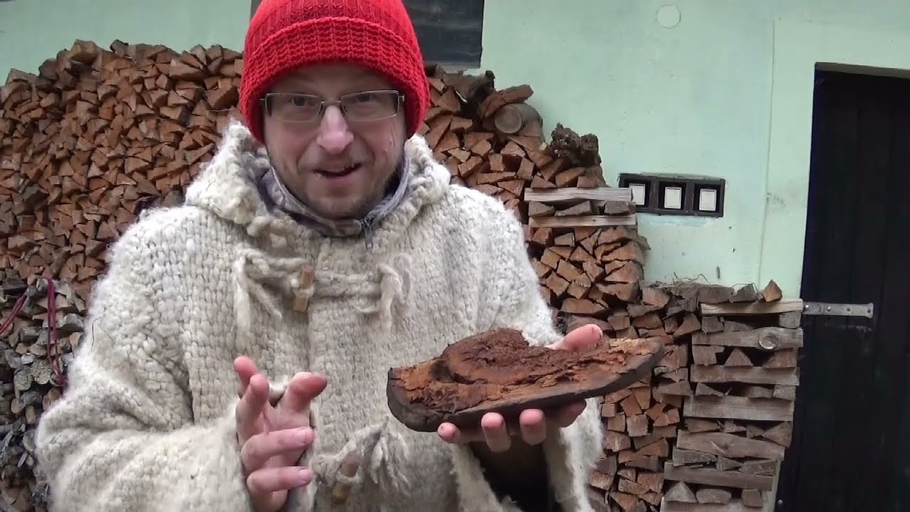 Rozklepávání choroše - jak vyrobit hubáň