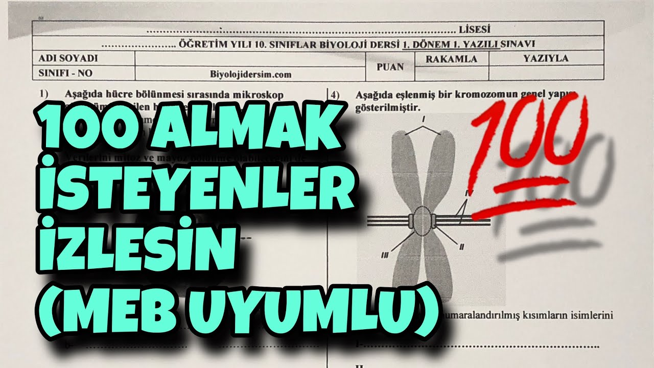 10.Sınıf Biyoloji 1.Dönem 1.Yazılı
