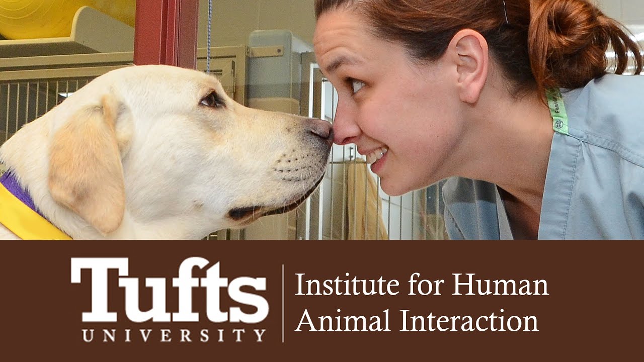Tufts Institute for Human Animal Interaction