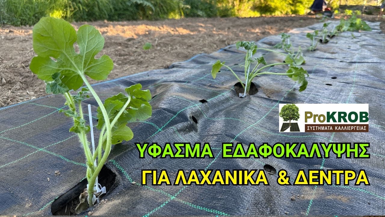 ΤΕΛΟΣ ΤΟ ΞΕΧΟΡΤΑΡΙΑΣΜΑ ΜΕ ΥΦΑΣΜΑ ΕΔΑΦΟΚΑΛΥΨΗΣ PROKROB