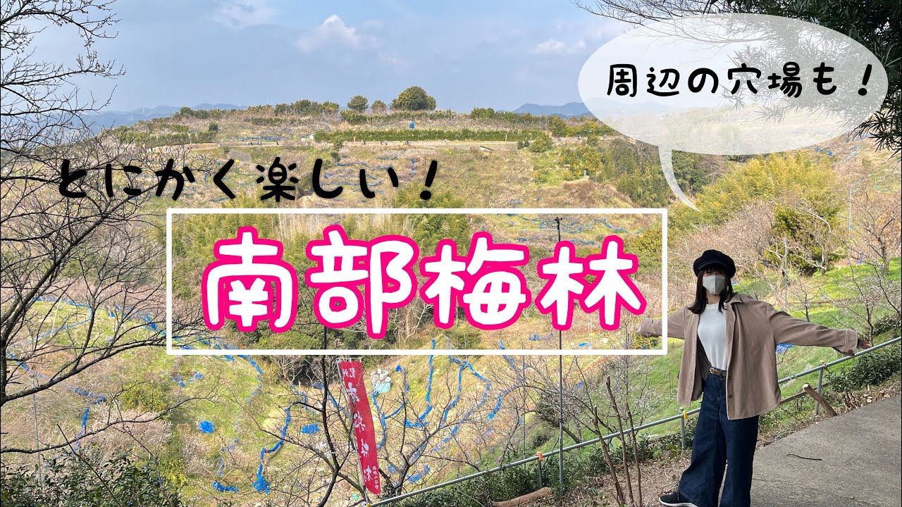 【観光】