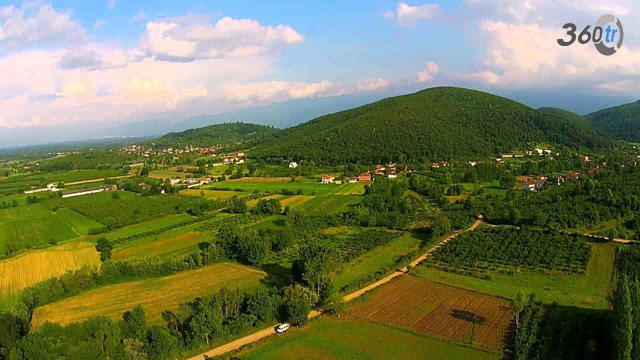 Düzce - Gölyaka - Sarıdere Köyü
