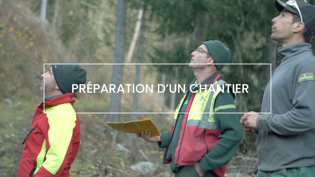 Le scarificateur 