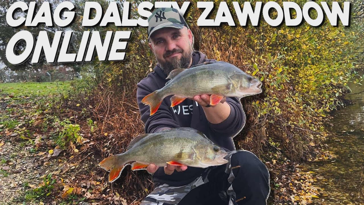 Spining jesienią:Piękne okonie i Szczupaki z kamerki podwodnej.Vlog 200