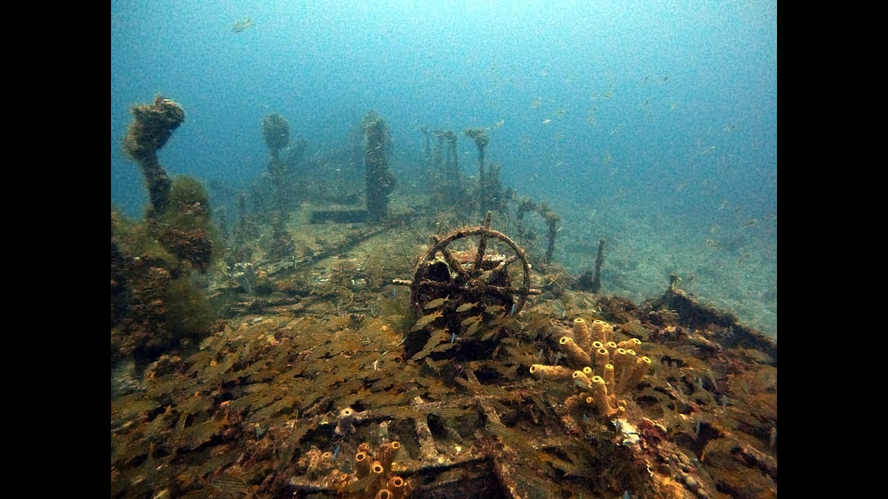 NAHOON WRECK - Martinique Alpha Plongée - Spiritdiver