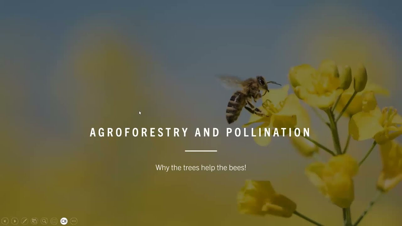 Out of the Woods: Growing Income from Your Forest
