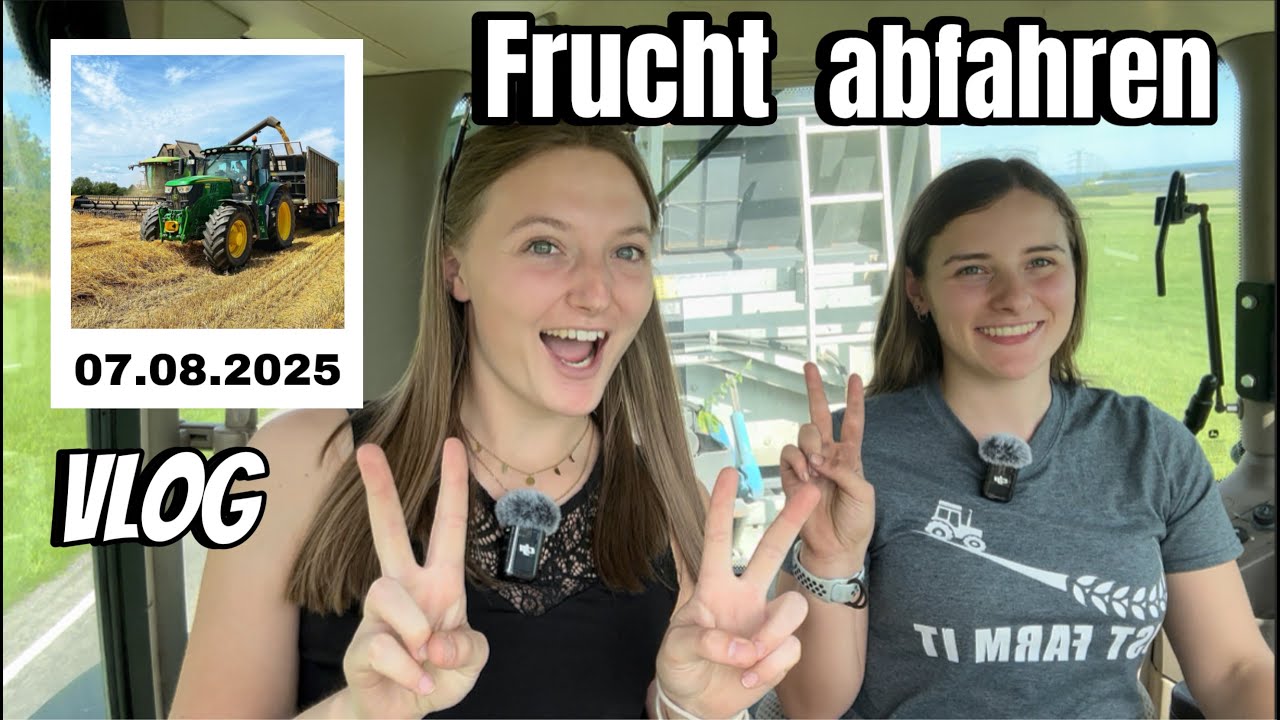 Frucht abfahren beim Dreschen 🚜🌾 | Lohner Mädels