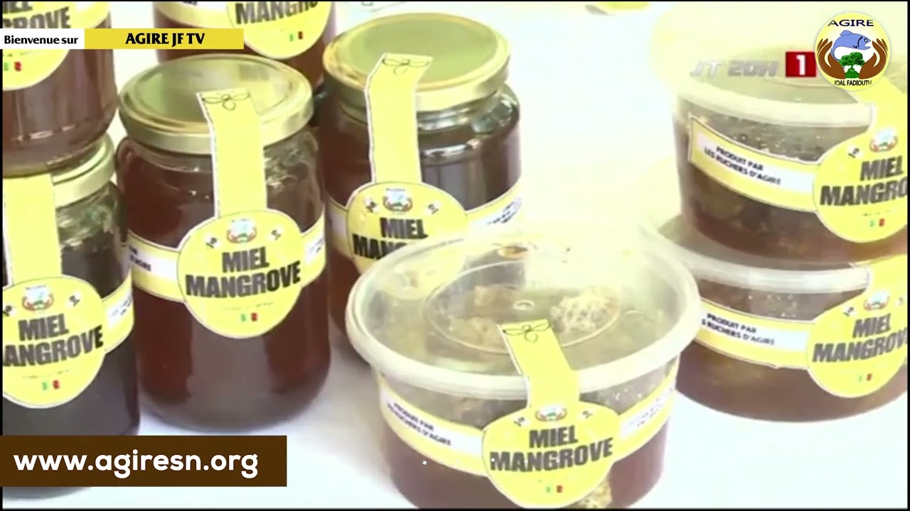 Version #français  : Miel de la mangrove : les ruches d’AGIRE à l’honneur sur la RTS 🌿🍯