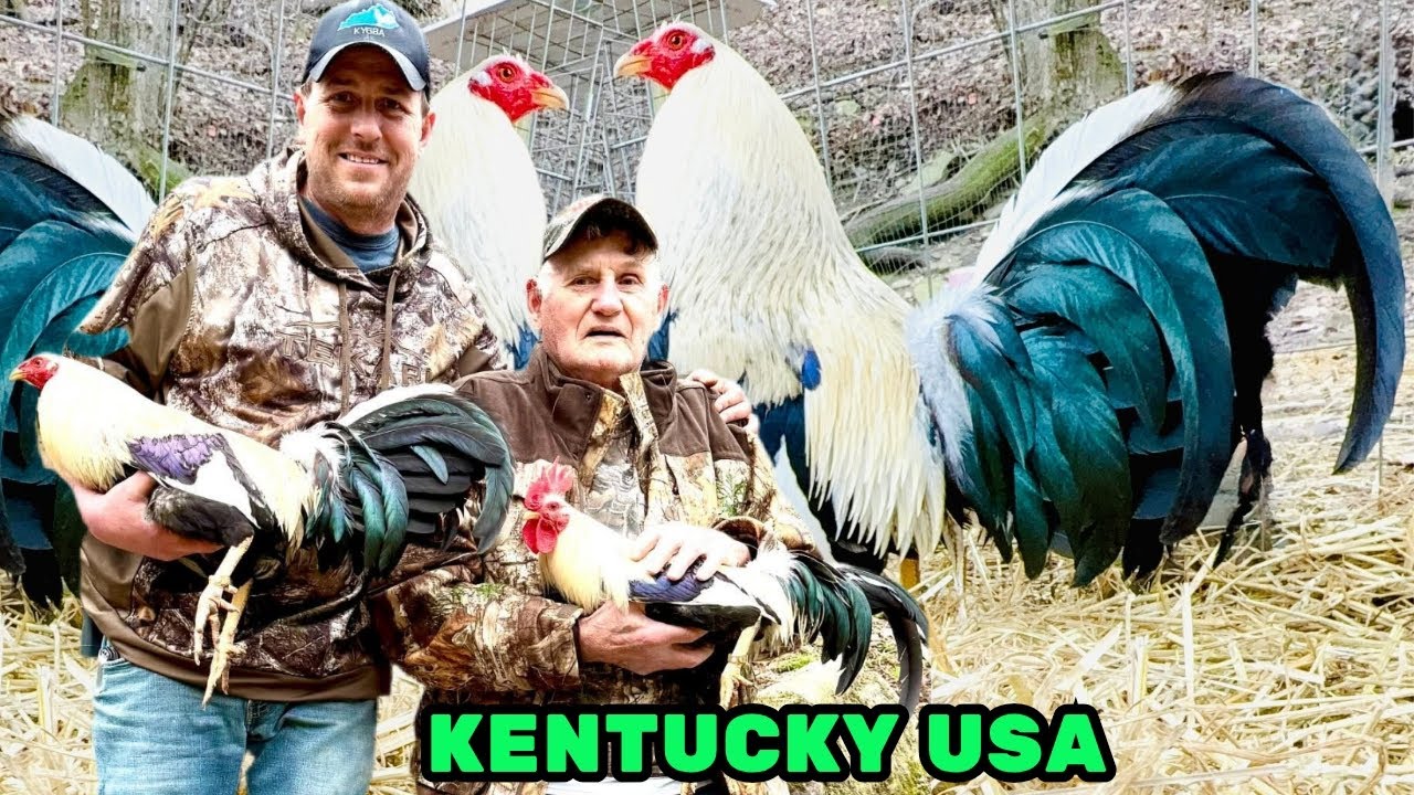 KENTUCKY 🇺🇸 Mr.Frank Oscar Bradley Farm Feeding Time Shape Chicken Coop Outdoor Breeding Pens 