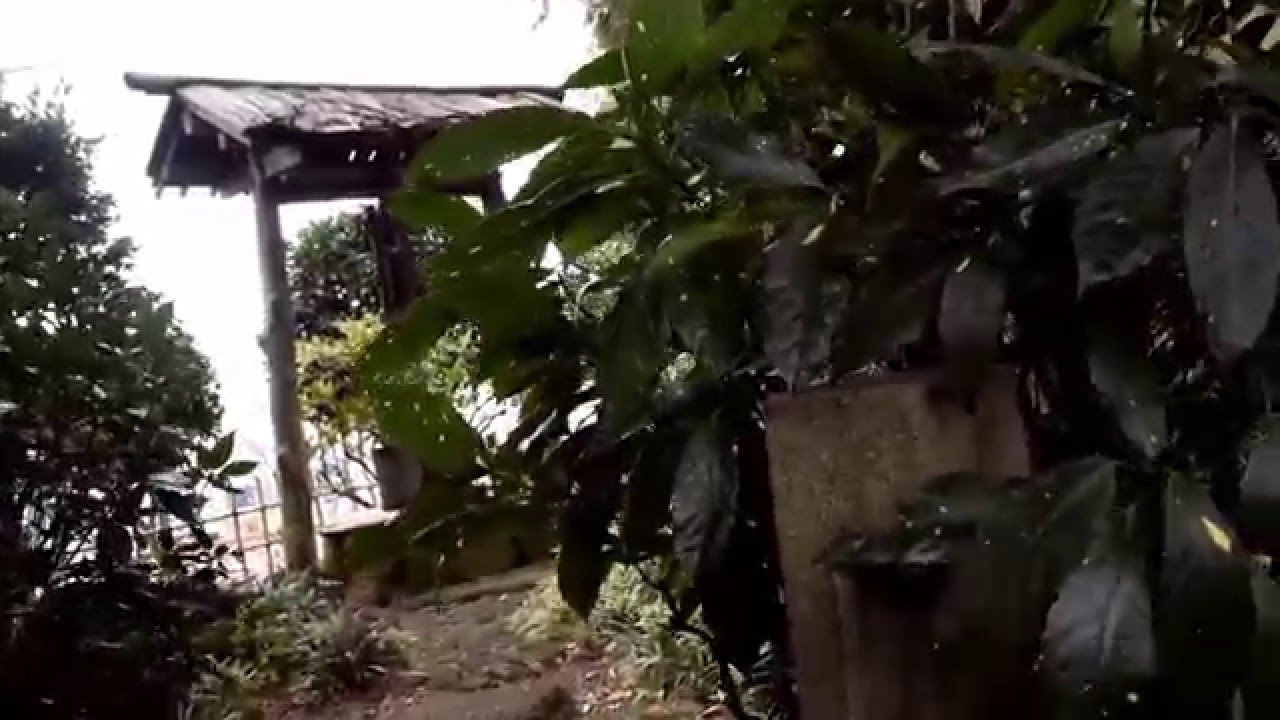 2015 12 13 福泉寺