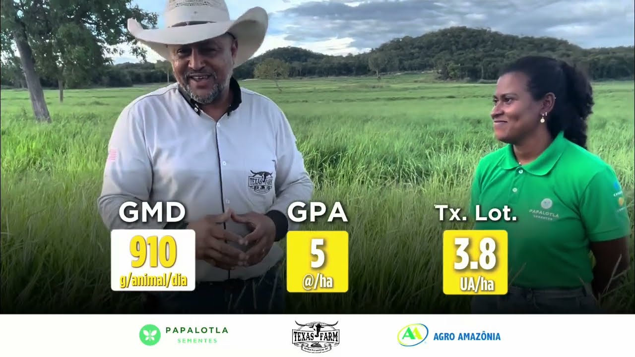 GMD DE 910g/animal/dia NO CAMELLO