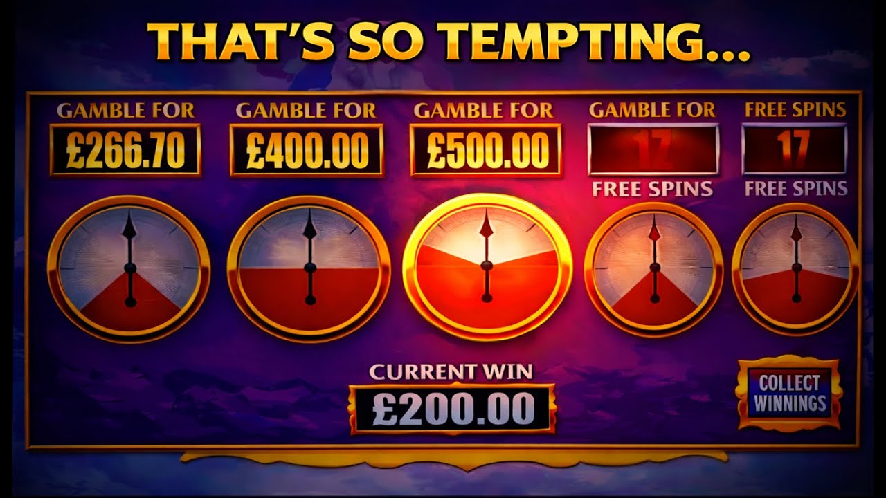 Himalayans to Burn em Up | The £2K Quest Continues!