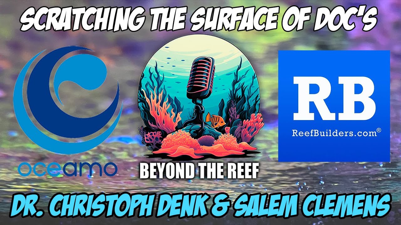 Scratching the Surface of DOC&rsquo;s: Christoph Denk (Oceamo) Salem Clemens (Reef Builders)