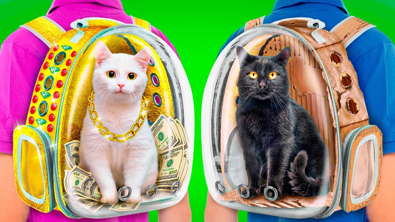 Secret Cat Surprise! Will Mom Find Out About the Poor Hidden Kitty? Pet Stories By Meow-some! Live🎉