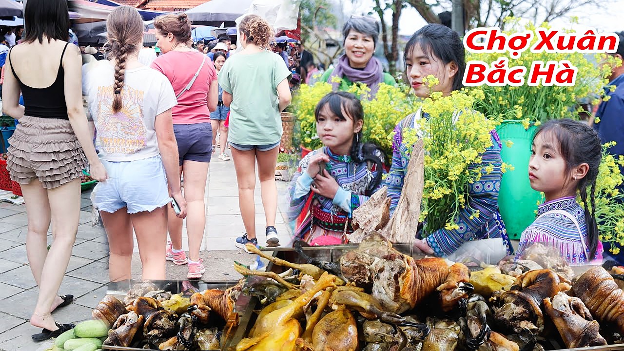 Hết Tết người Hà Nội đổ lên Bắc Hà mua Hoa Đào chơi-Kiếm rau sạch dược liệu hạ nhiệt sau tết