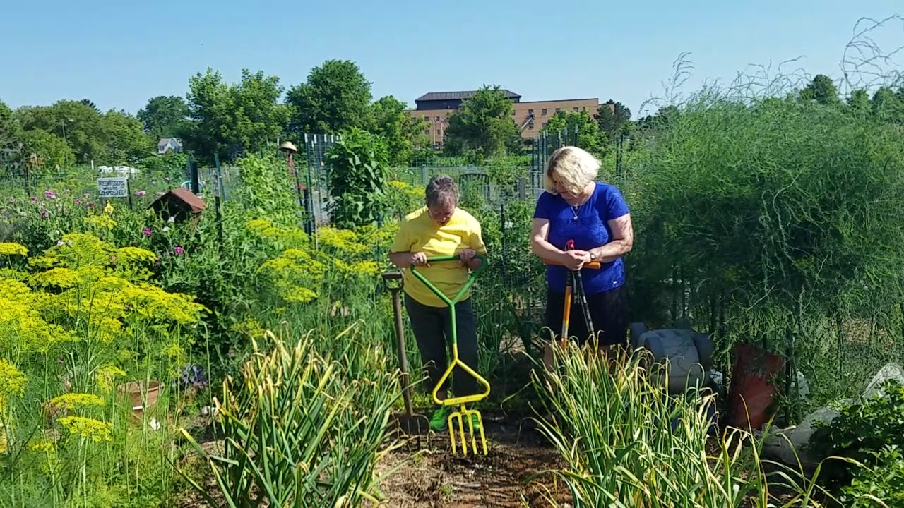 adaptive gardening tools