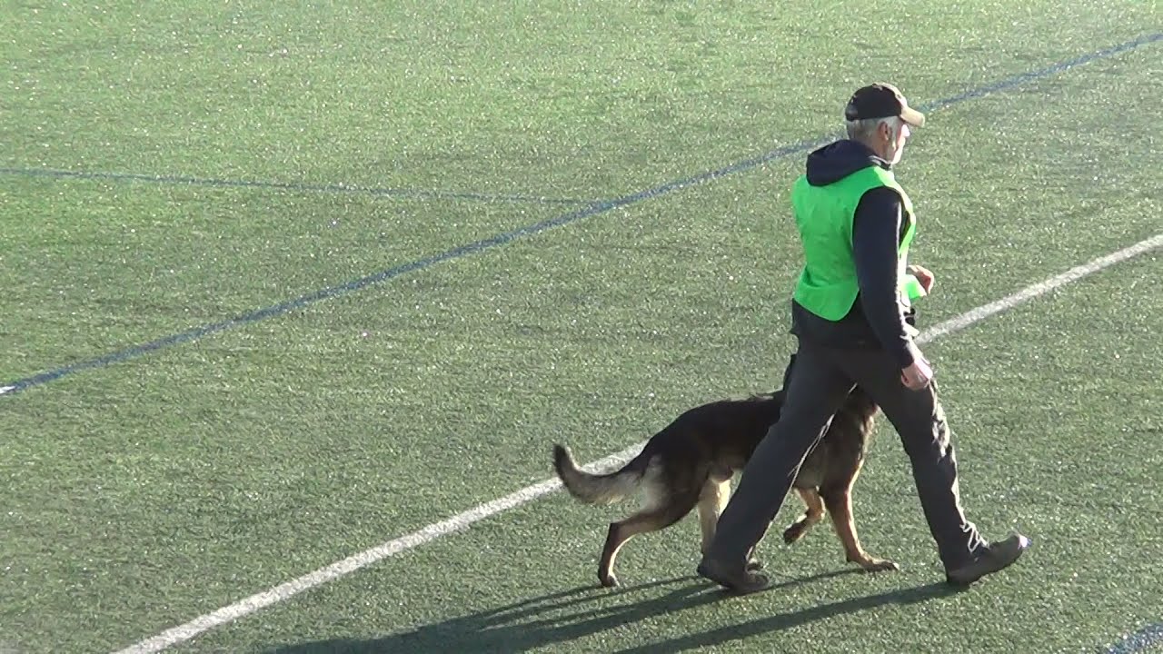 RSV 2000 -  II CAMPEONATO ESPAÑA - JULIO GALAN & JAMELL KONIG VON TAU  B 86