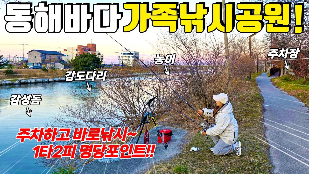 낚시하기 좋은 꽝이없는 냉장고포인트! 던지는족족 계속~나옵니다! 가족낚시 추천장소!