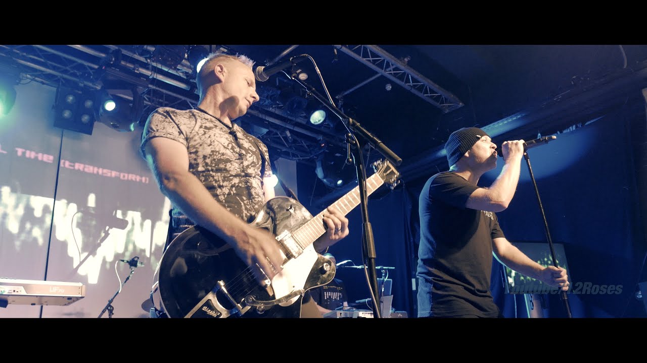 Mesh (live) 