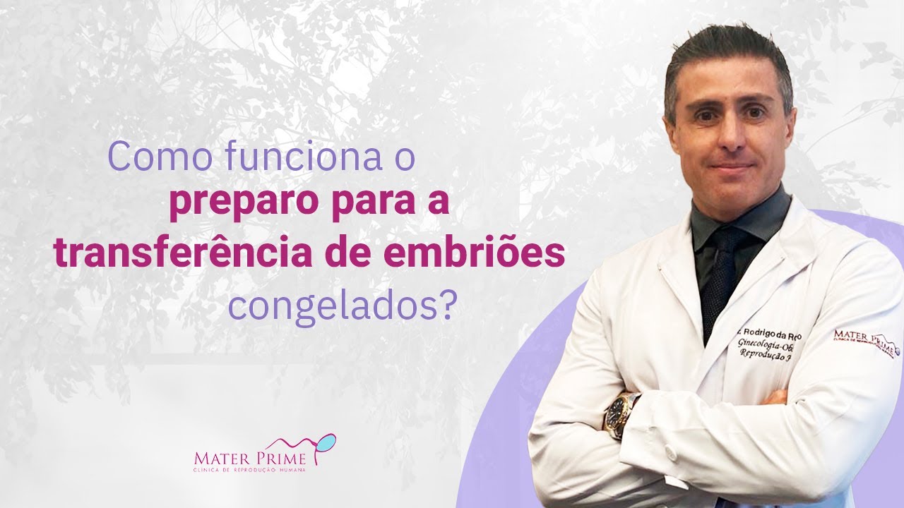 Como funciona o preparo para a transfer&ecirc;ncia de embri&otilde;es congelados?