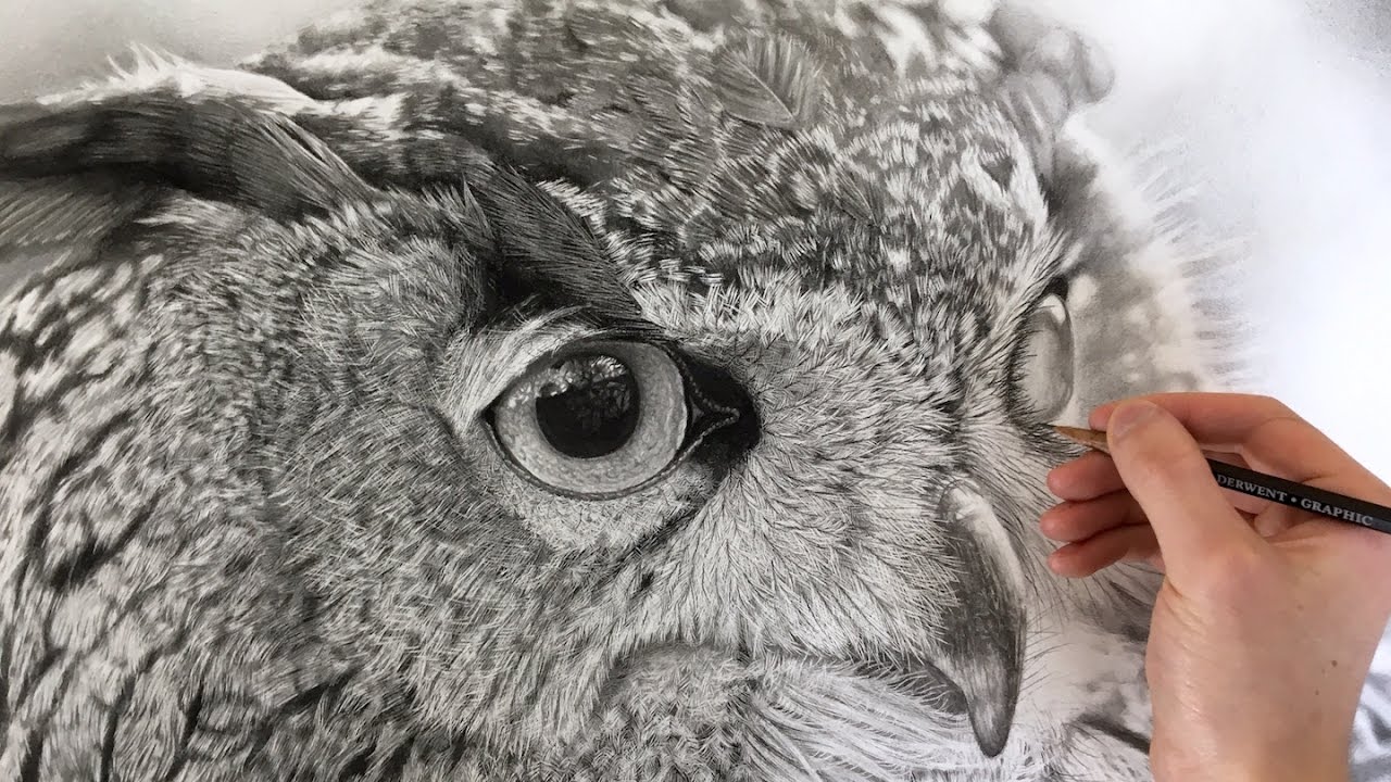 Hyperrealism/ Hyperrealistic owl drawing