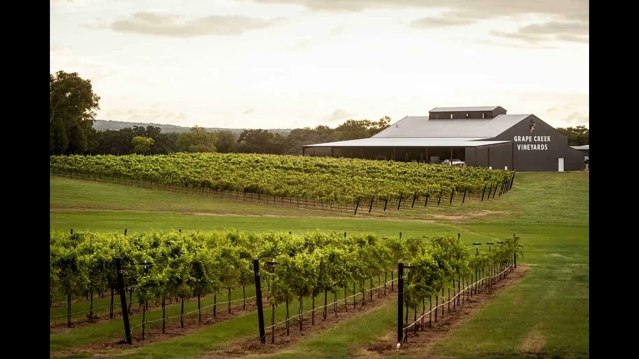 Vines of Gold
