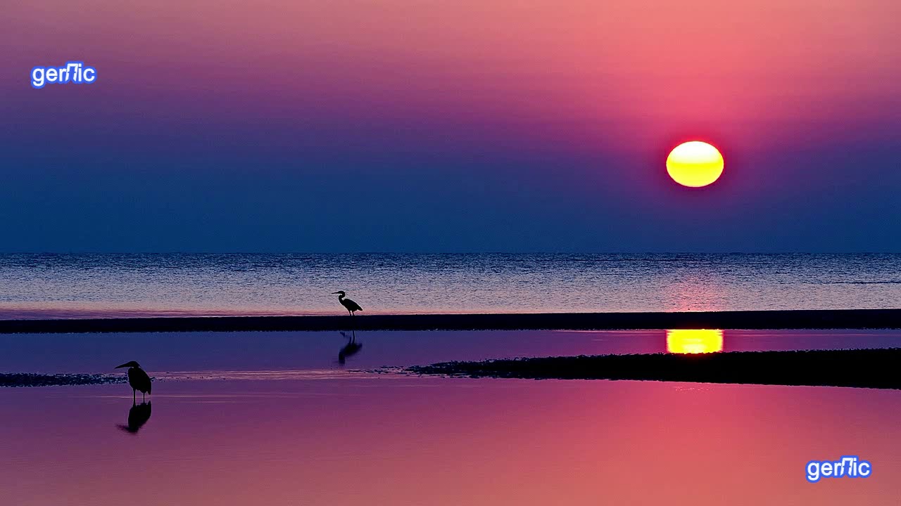 Pat Metheny - the longest summer