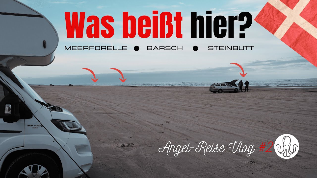 Angelreise Dänemark: Angeln auf Meerforelle, Steinbutt, Barsch & Hering