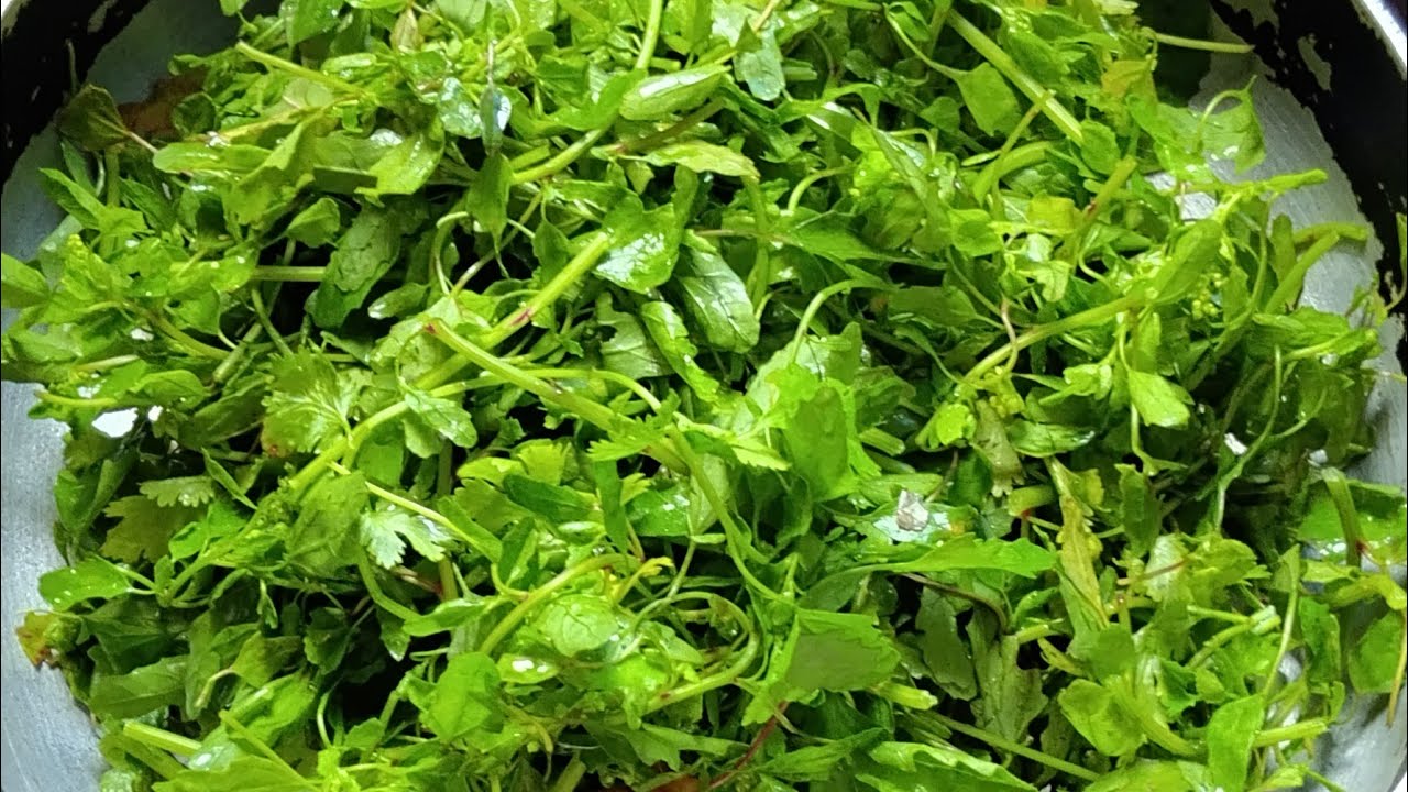 Sarson sem Palak bathua sub mixture sag banane ka recipe 🥰