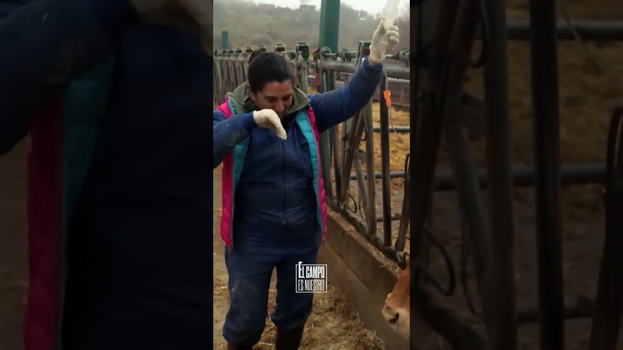 Tranquila campera nuestra, que las lágrimas no dañan, sino que sanan