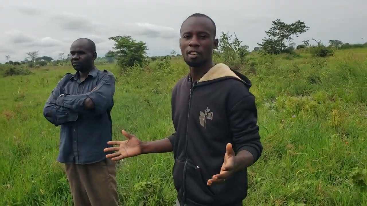 Land For Rent | Hire This Fertile Land For Agriculture & Animal Projects