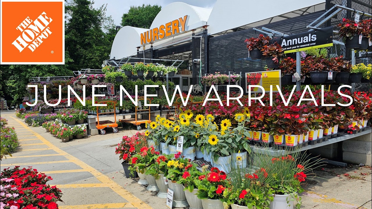 NEW Plants at Home Depot Garden Center | June 2026