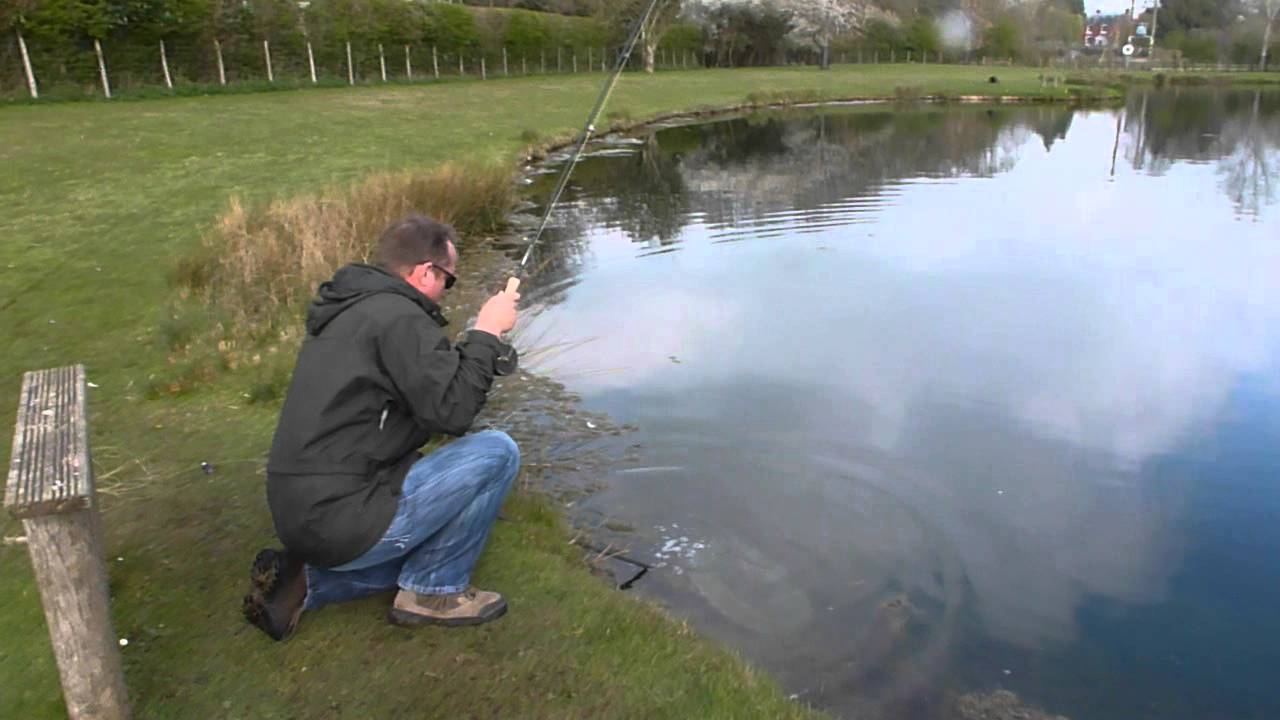 SUTTON SPRINGS MONSTER RAINBOW FISHING.MOV