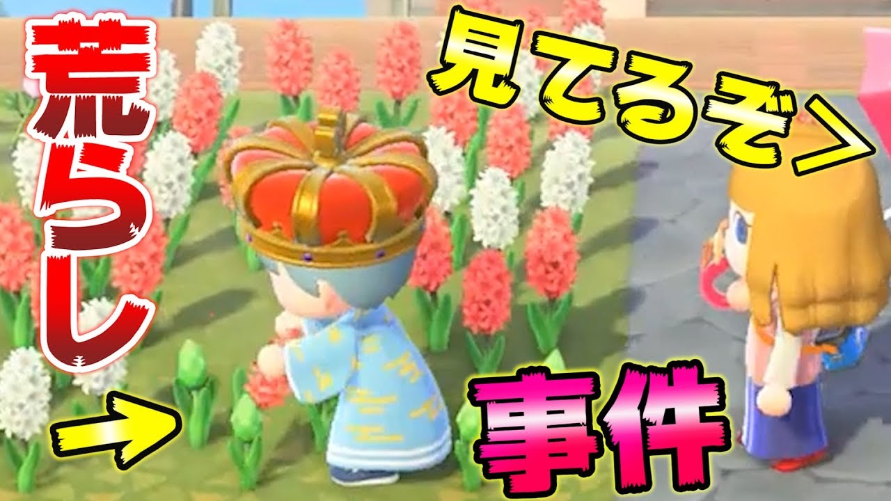 【あつ森】島を自由に開発出来る権限を与えたら裏切られました【あつまれどうぶつの森】【さとみ×ころん】