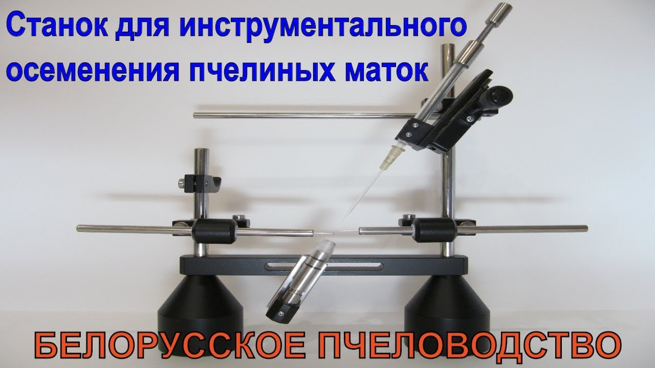 Станок для инструментального осеменения пчелиных маток Новая модель  канал БЕЛОРУССКОЕ ПЧЕЛОВОДСТВО
