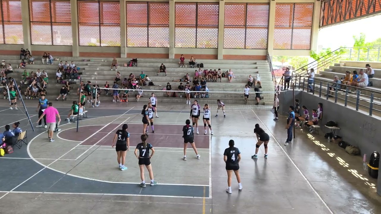 Tapatias PV 3ra vs Cobras Torneo La Lija 3/3