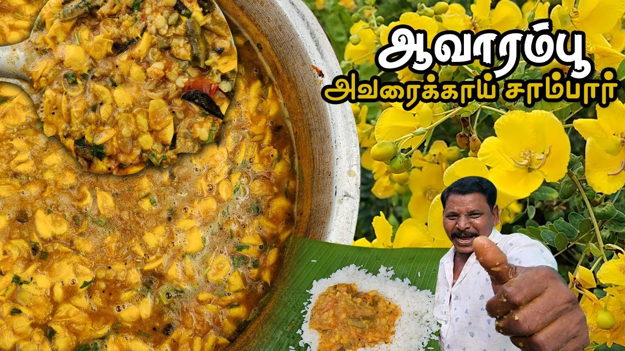 புதைத்த இடத்தில் பூத்த ஆவாரம்பூ அவரைக்காய் சாம்பார் | Avarampoo Avarakkai Sambar Recipe in tamil