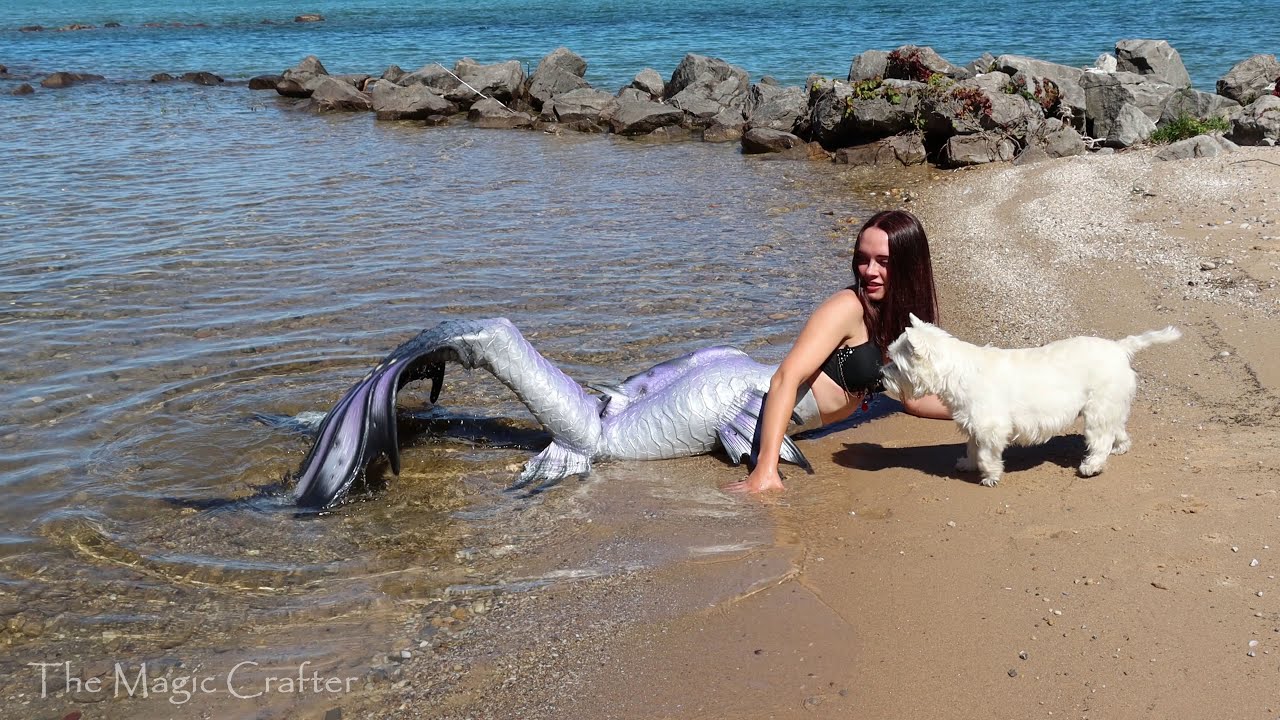 THE BIG MERMAID AND THE LITTLE DOG || Dog goes Crazy for Mermaid! (SUPER CUTE) || The Magic Crafter