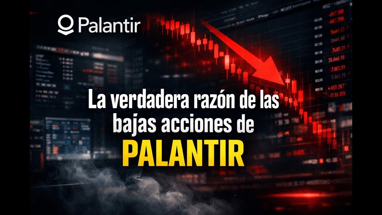La verdadera raz&oacute;n por la que las acciones de Palantir cayeron tras la publicaci&oacute;n de sus resultados