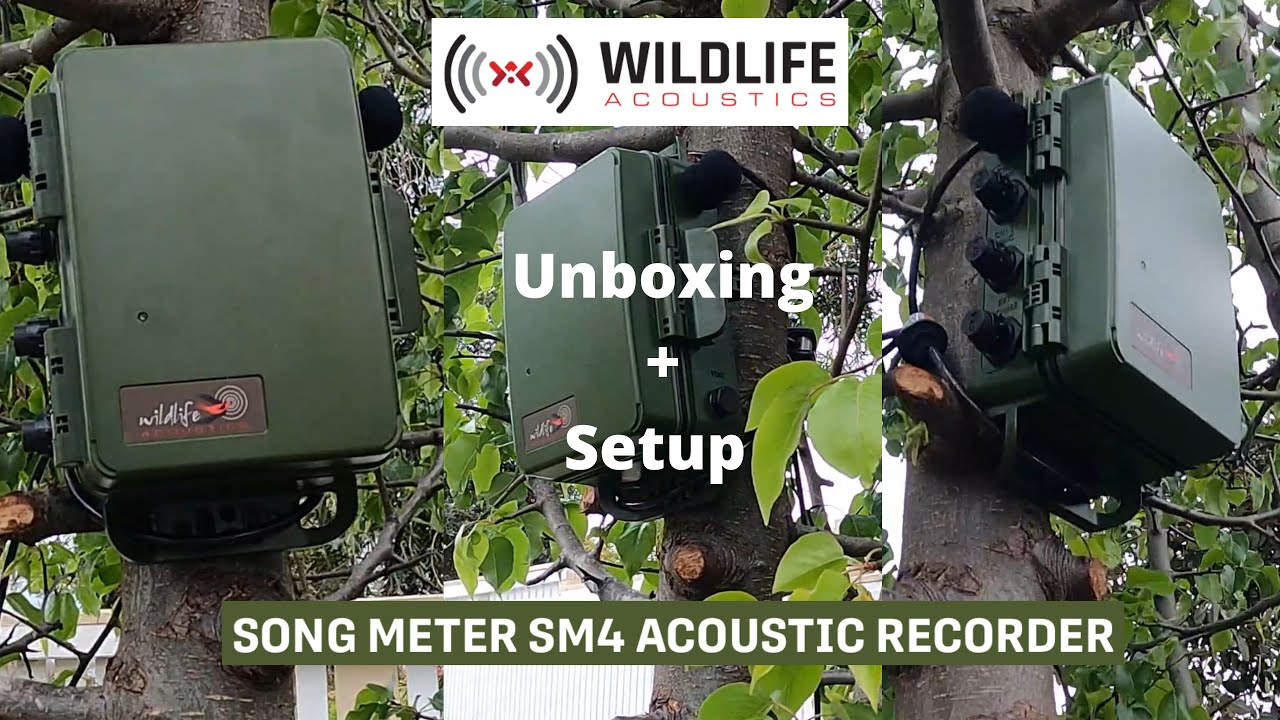 Song Meter SM4 Audio Recorder | Unboxing & Setup