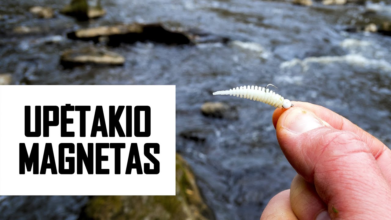 Geriausias guminukas upėtakiui!