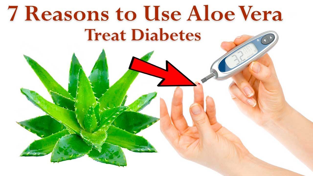 7 Reasons To Use Aloe Vera For Treating Diabetes - How to Use Aloe Vera to Treat Diabetes