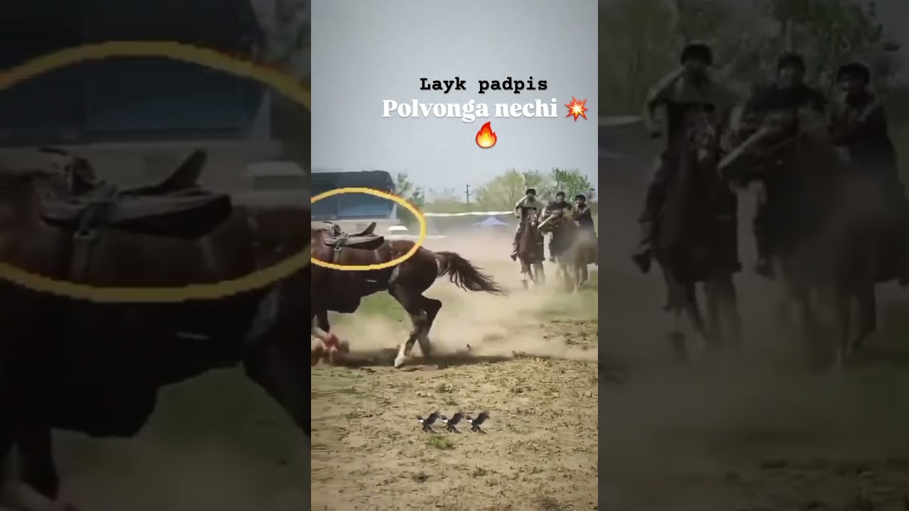 Ot #horselover #uzbekistan #rek #horse #bmw #avto #reelsinstagram #equestrian #cars #reels #shorts