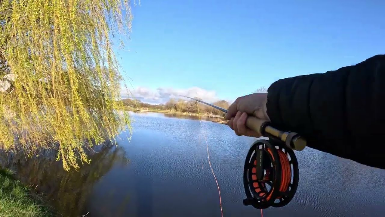 Tan y Mynydd Trout Fishery