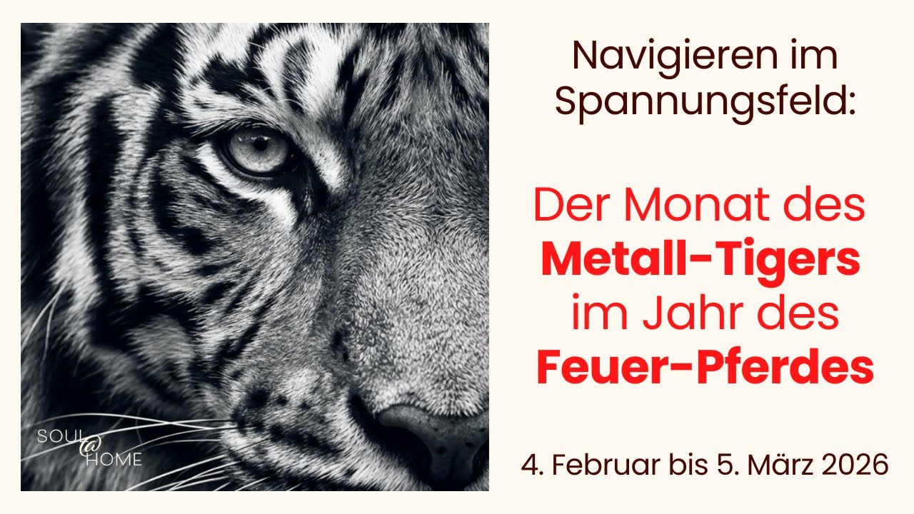 Februar entscheidet mehr, als du denkst – der Auftakt zum Feuer-Pferd-Jahr
