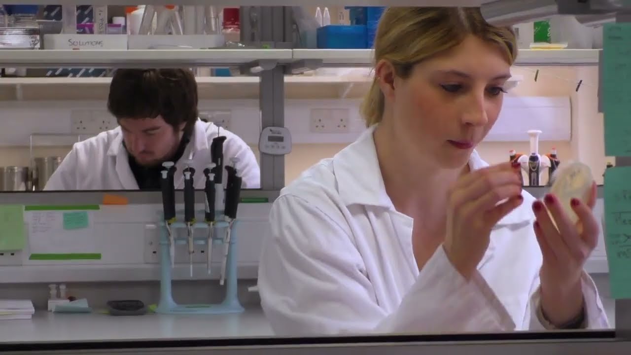BSc Marine Biology, 2017