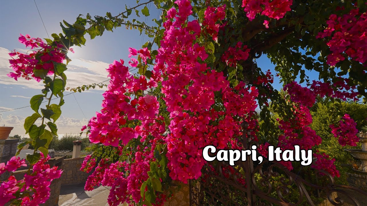Capri, Italy travel 🇮🇹 2023 4K 60fps HDR ASMR Rain Walking Tour (▶︎66min)