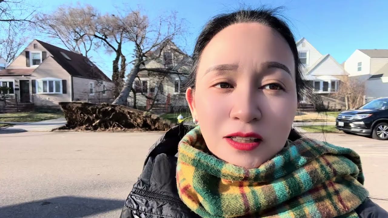 又出事了🔥狂风暴雨后大树连根拔起🔥豪宅被压🔥华人首都法拉盛🔥