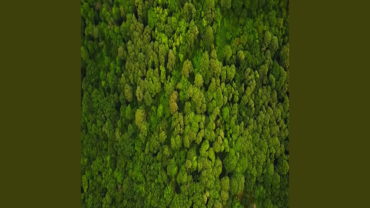 يا حياتي يا فؤادي