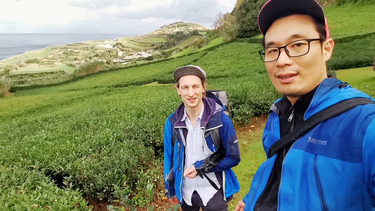 Tea Addicts 2021 - Azoren Tea Scouting Field Trip Recherche Kultivare Ilha de S&atilde;o Miguel